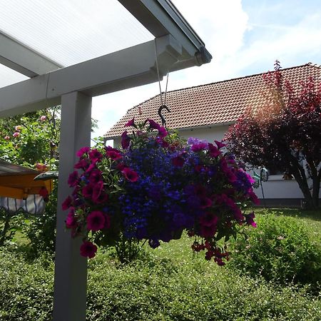 Ferienwohnung Relax Ilsenburg Zewnętrze zdjęcie