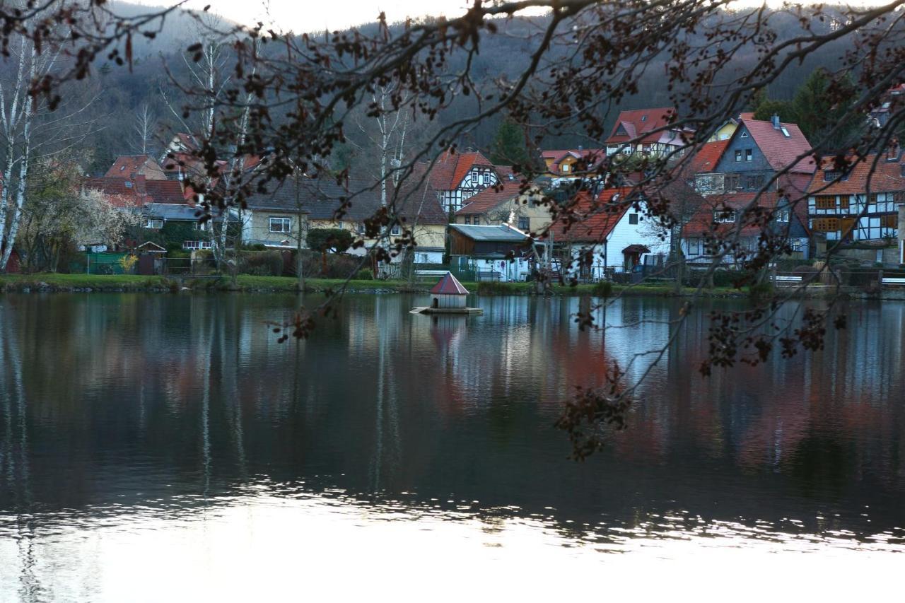 Ferienwohnung Relax Ilsenburg Zewnętrze zdjęcie