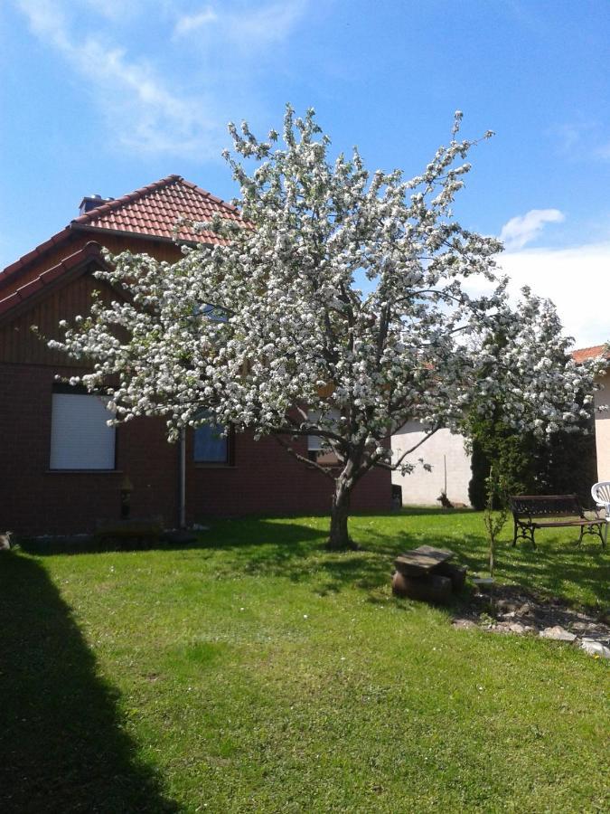 Ferienwohnung Relax Ilsenburg Zewnętrze zdjęcie