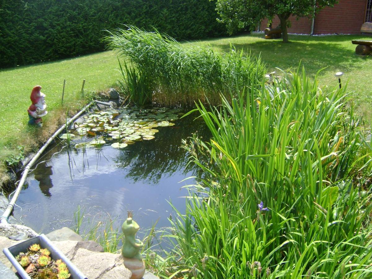 Ferienwohnung Relax Ilsenburg Zewnętrze zdjęcie