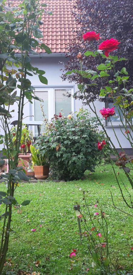 Ferienwohnung Relax Ilsenburg Zewnętrze zdjęcie