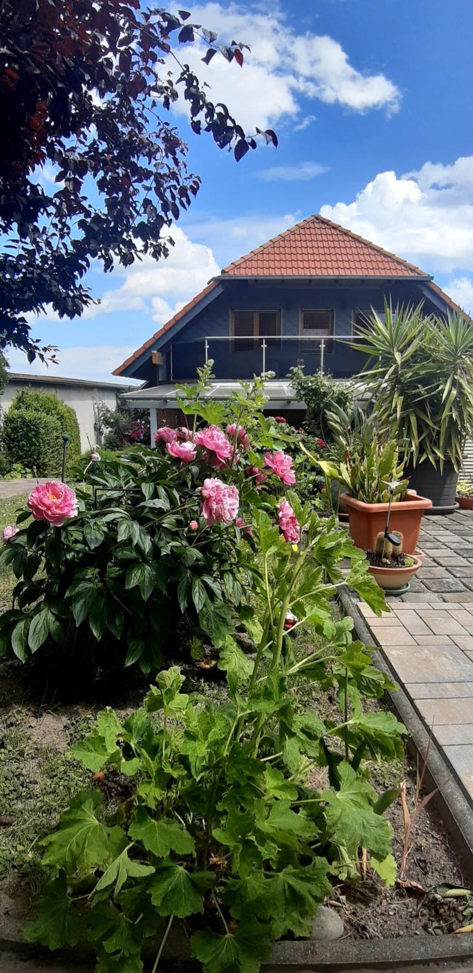 Ferienwohnung Relax Ilsenburg Zewnętrze zdjęcie