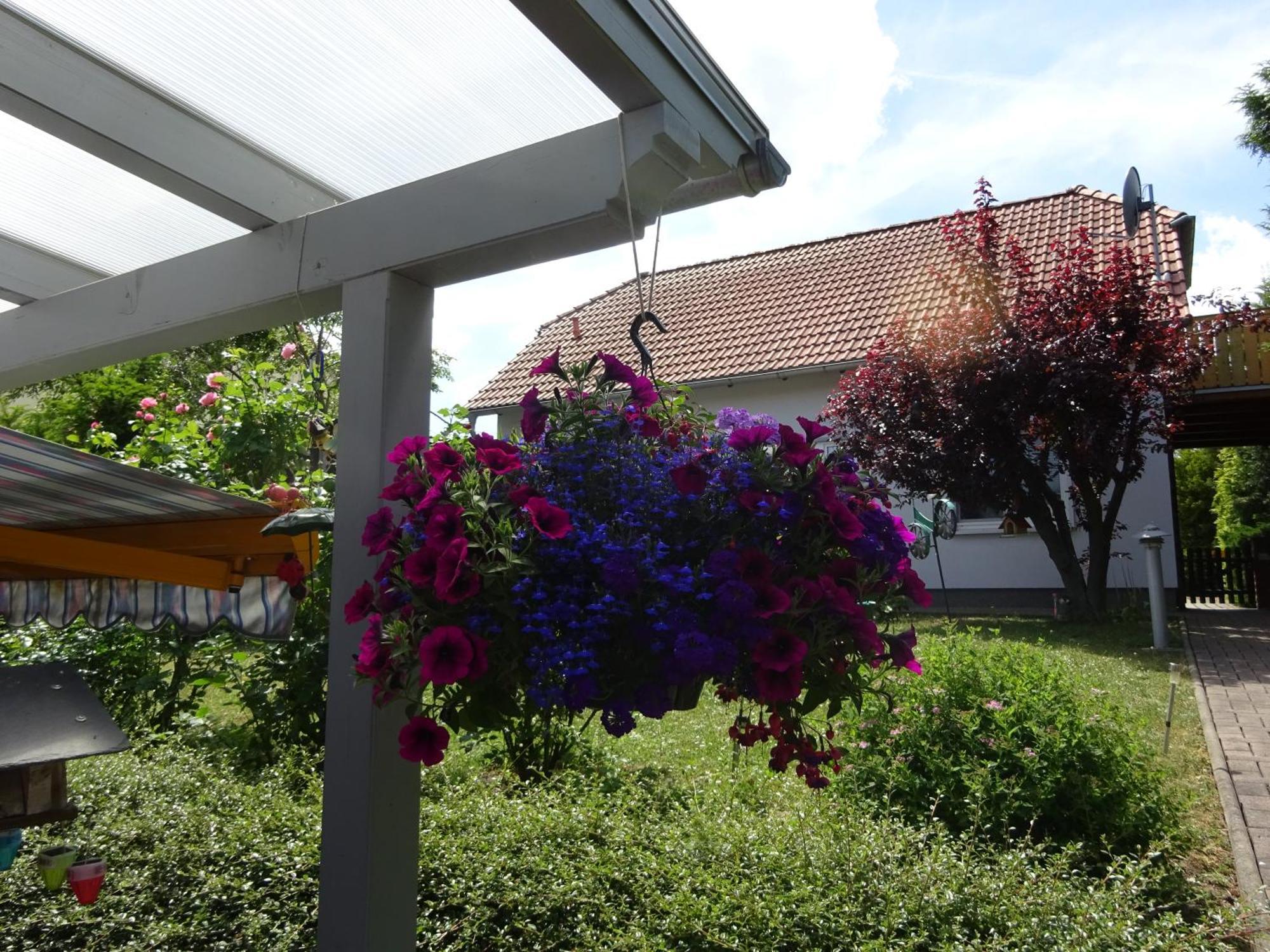 Ferienwohnung Relax Ilsenburg Zewnętrze zdjęcie